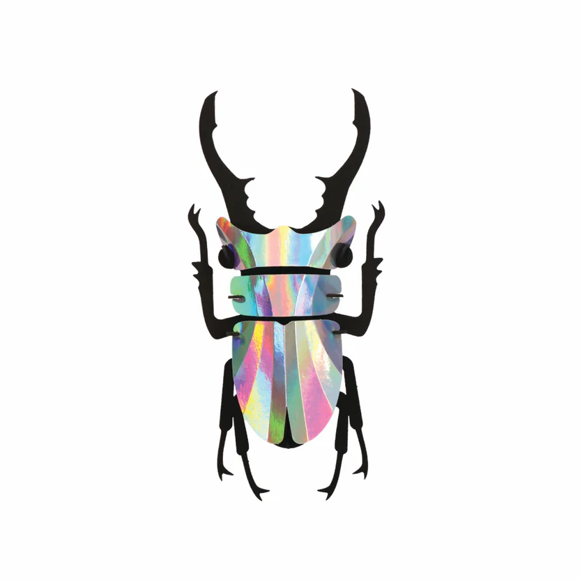 3D Papieren Hert Kever Regenboog Spiegel - cadeau van Kado in Huis