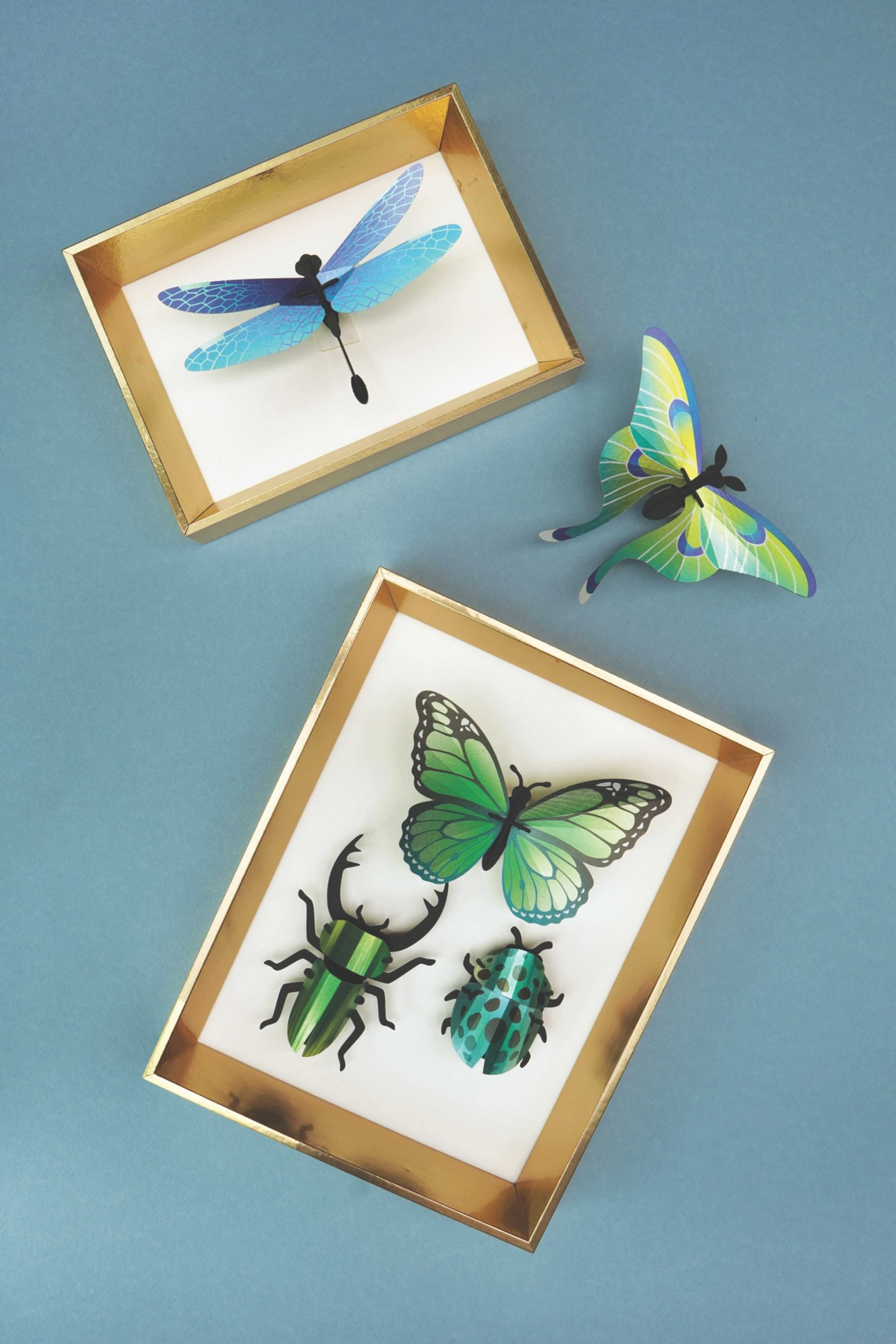 DIY Decoratie Gemengde Insecten Set Groen - cadeau van Kado in Huis