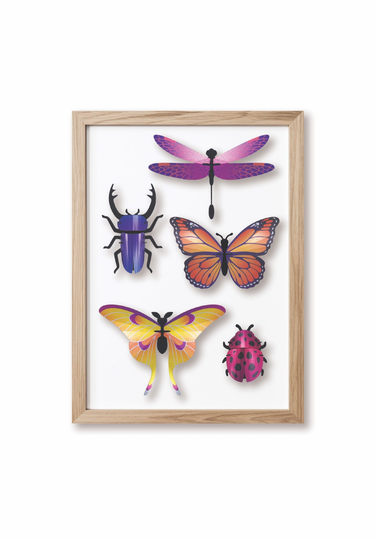 DIY Decoratie Gemengde Insecten Set Paars - cadeau van Kado in Huis