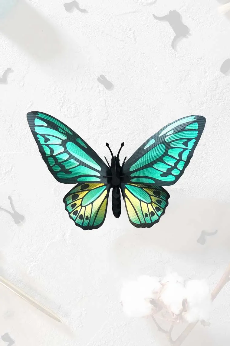 Papieren Groene Vlinder Birdwing - cadeau van Kado in Huis