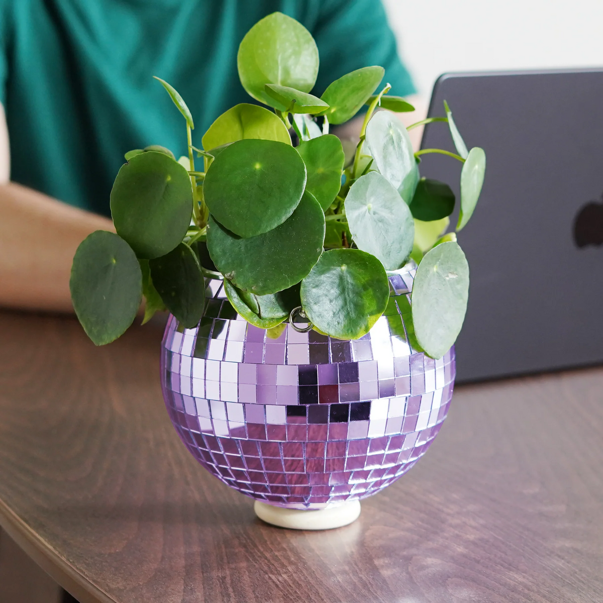 Discobal Plantpot Paars - detailfoto 3