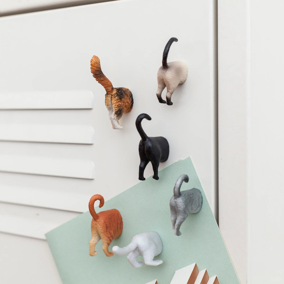 Dieren magneten kattenkont - cadeau van Kado in Huis