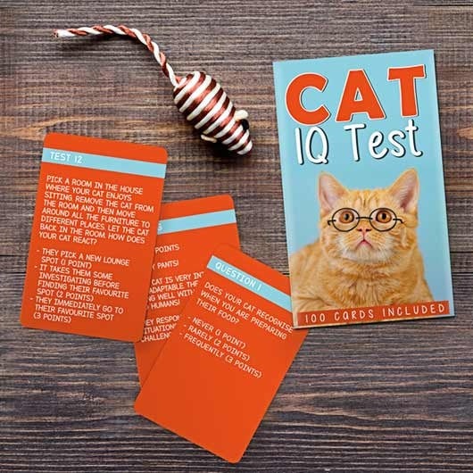 Kat IQ Test Spel - detailfoto 2