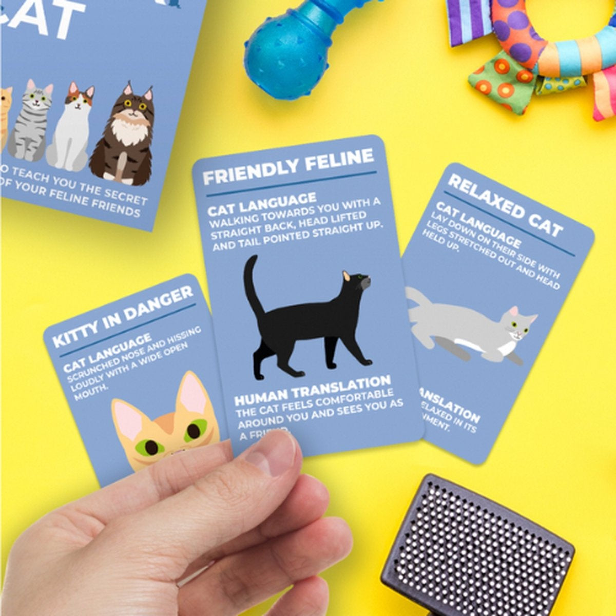 Hoe spreek je kattentaal - cadeau van Kado in Huis
