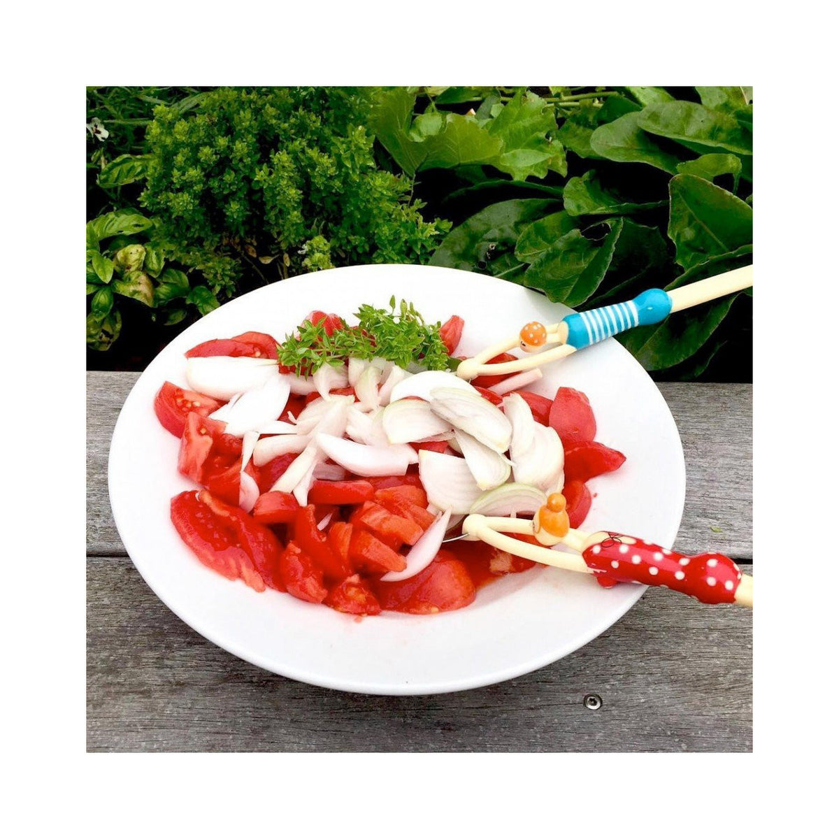 Slabestek Quelle Salade 50th Swimmers - detailfoto 4