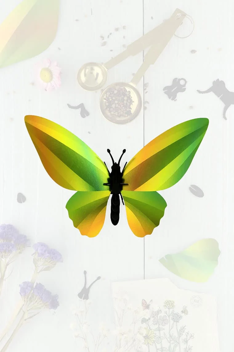 Papieren vlinder Birdwing Mango groen - detailfoto 1