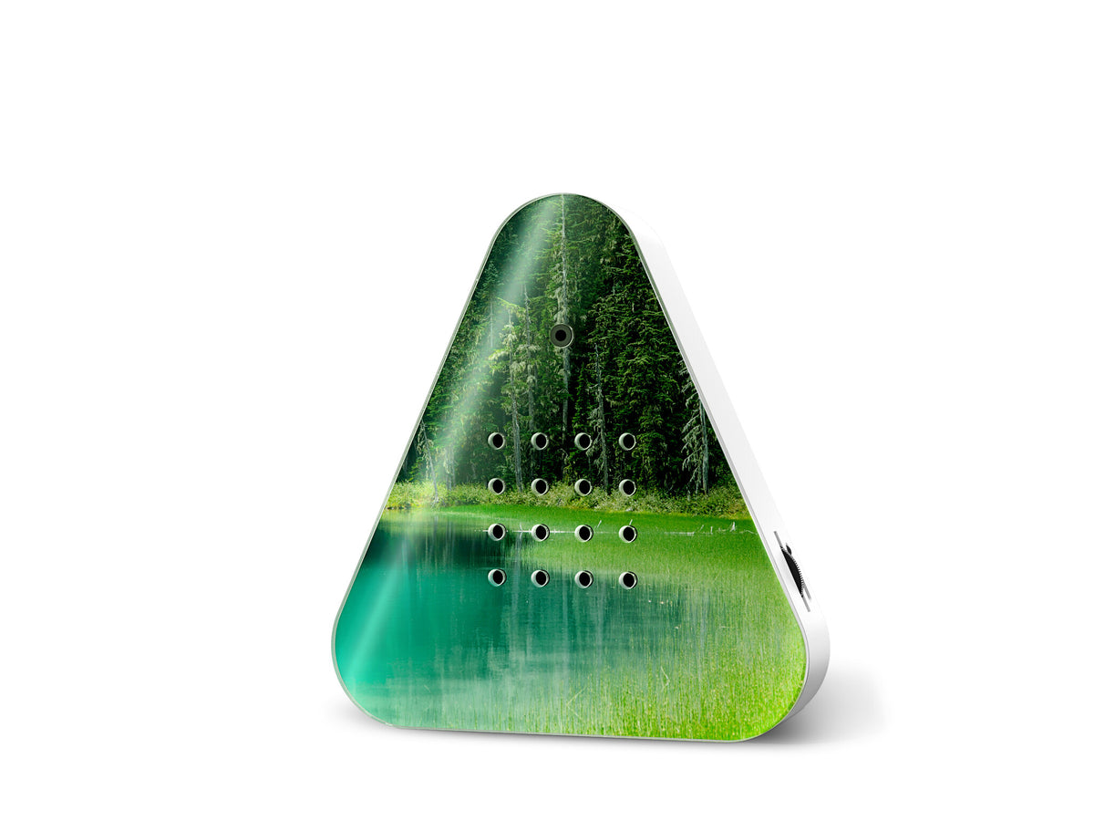 Lakesidebox Forest Lake - cadeau van Kado in Huis