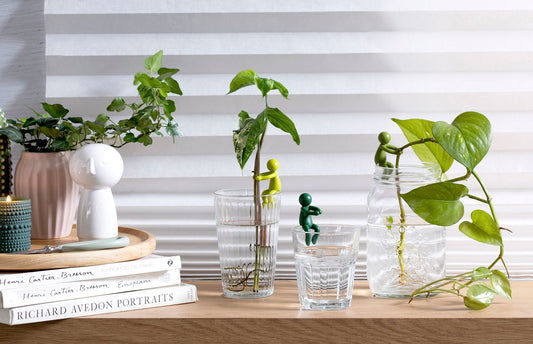 Stekjeshouder Leafriend set van 3 - cadeau van Kado in Huis