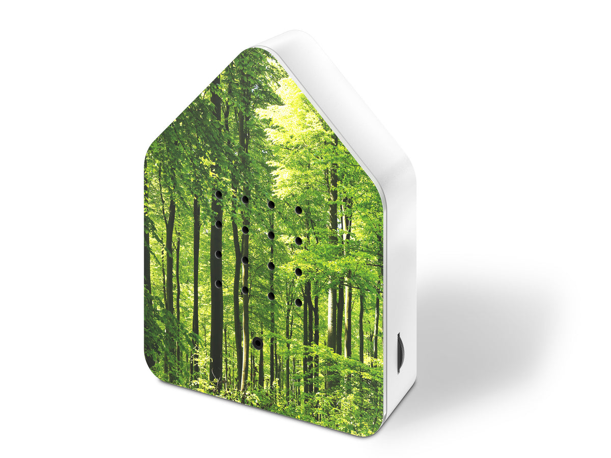 Zwitscherbox Forest - detailfoto 4