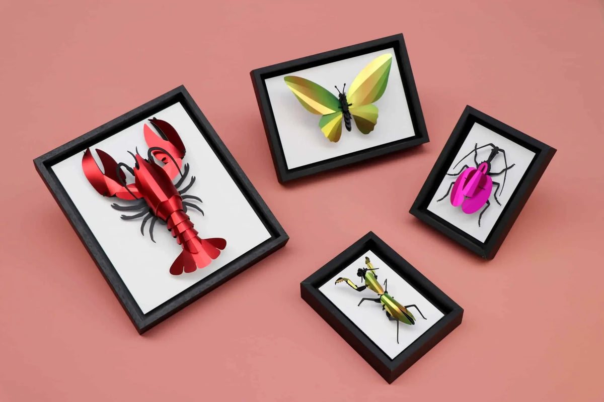 Assembli houten lijst zwart met insecten op roze achtergrond