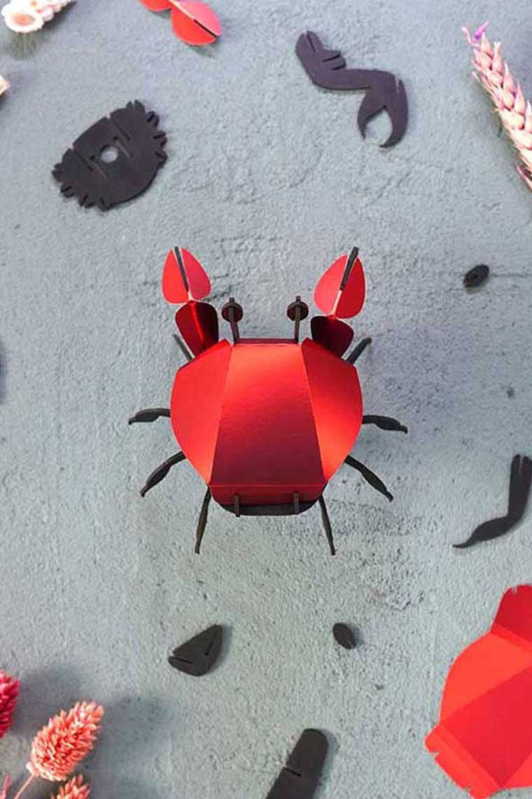 3D papier strand krab insect - detailfoto 2