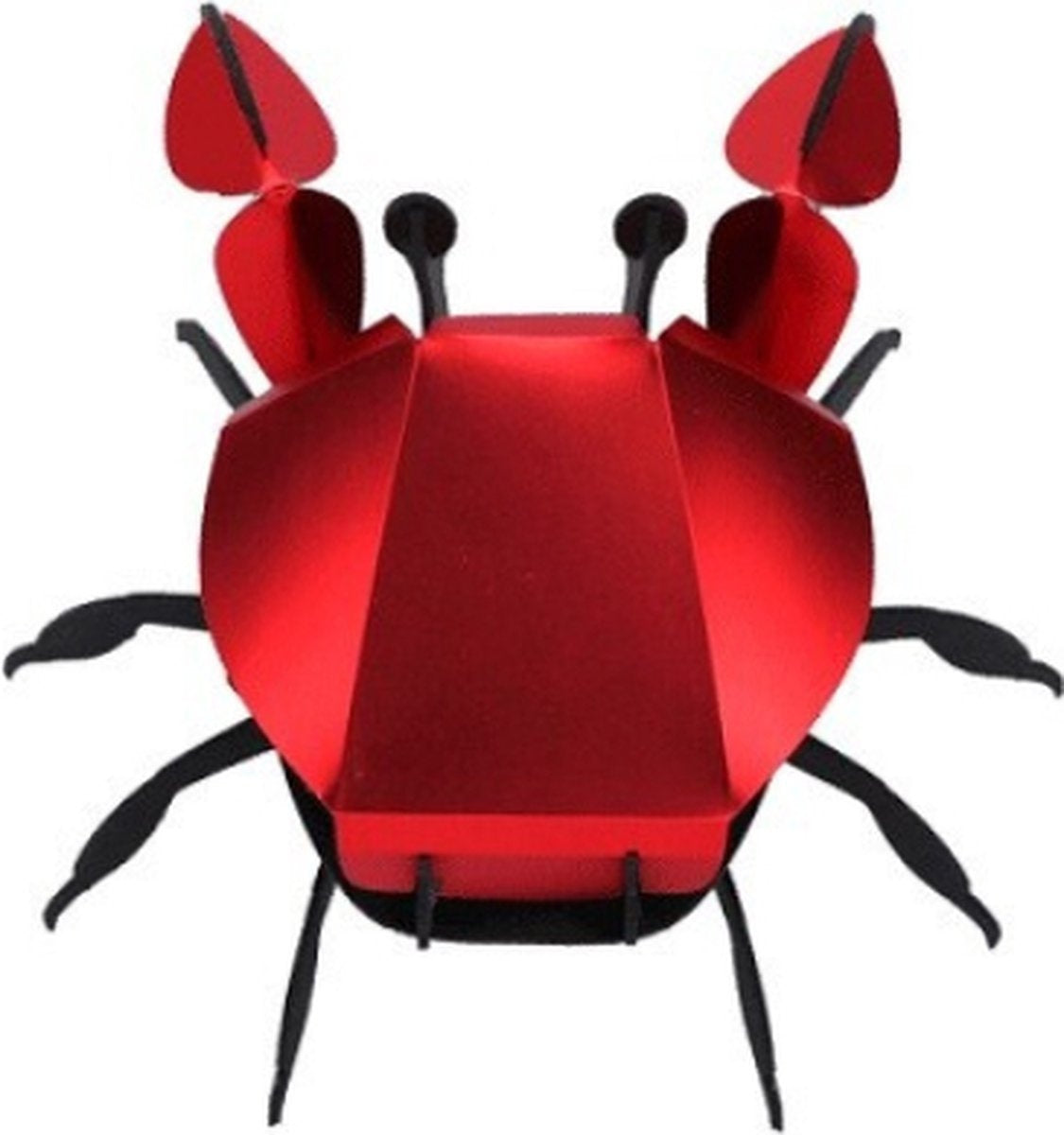 3D papier strand krab insect - detailfoto 1
