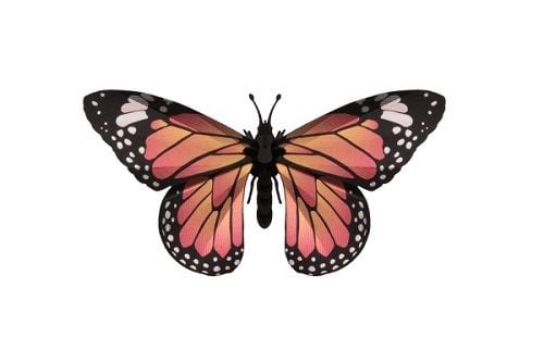 Papieren monarchvlinder insect 3D - detailfoto 2