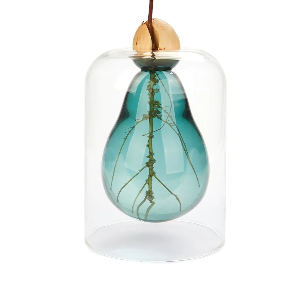 Avocado Vaas Glas Groen - cadeau van Kado in Huis