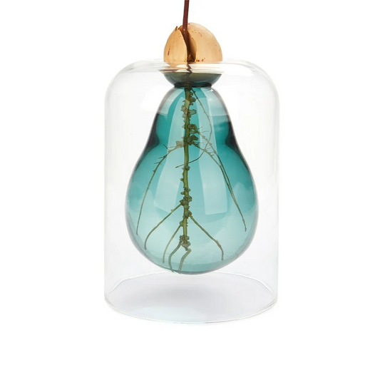 Avocado Vaas Glas Groen - cadeau van Kado in Huis