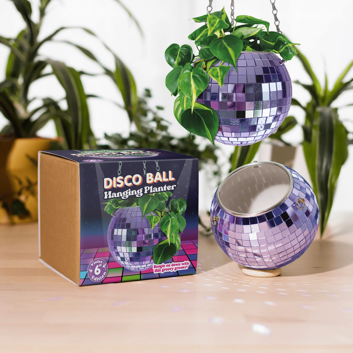 Discobal Plantpot Paars - detailfoto 2