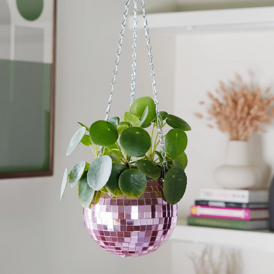 Discobal Plantpot Roze - cadeau van Kado in Huis