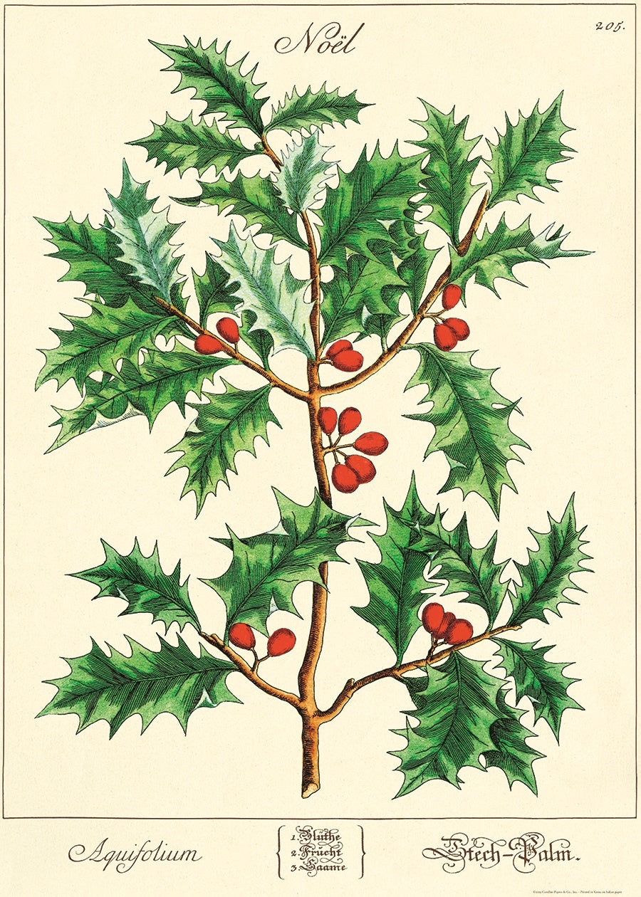 Vintage Schoolposter Holly - cadeau van Kado in Huis