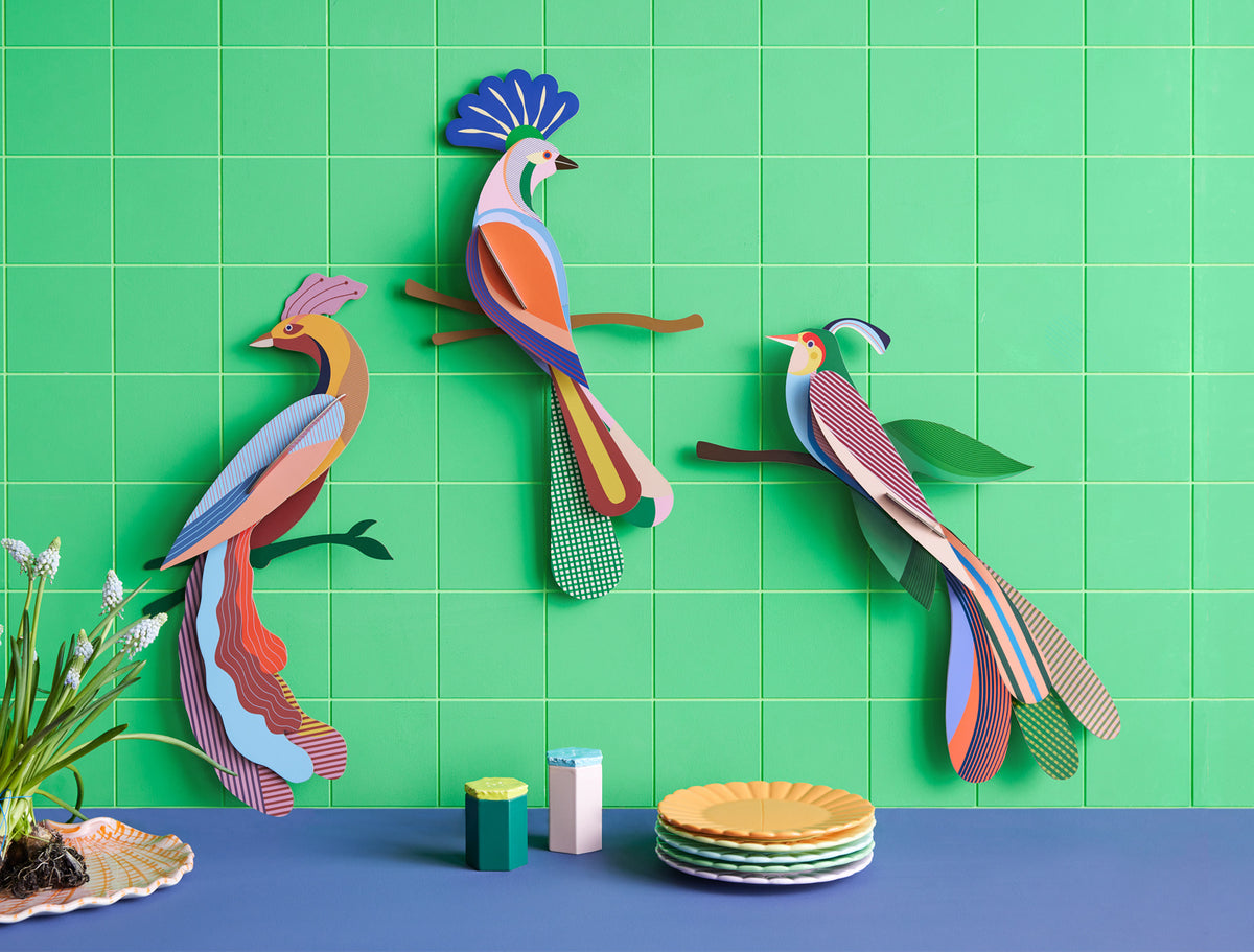 3D Wanddecoratie Paradise Bird Tinjil - detailfoto 2