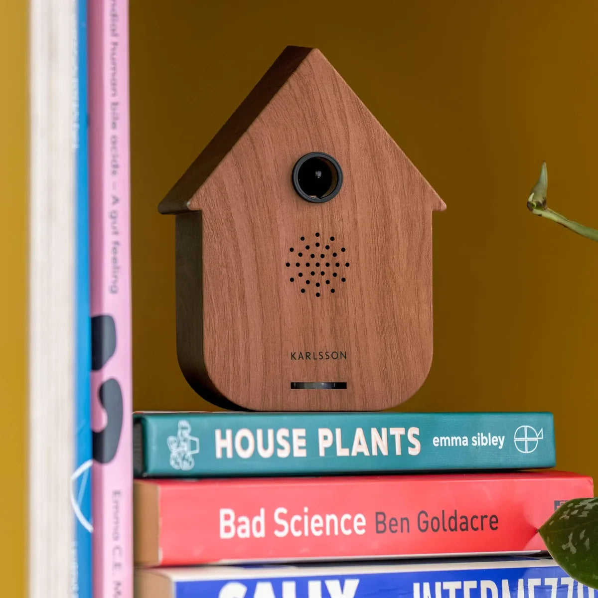 Karlsson Modern Cuckoo sfeerbox in donkere houtlook decoratief geplaatst op verschillende boekn in een kast.