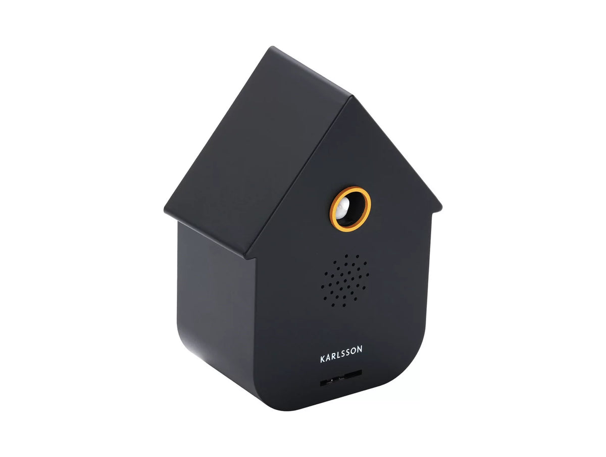 Zijaanzicht van de strakke minimalistische Karlsson cuckoo sound box in de kleur mat zwart
