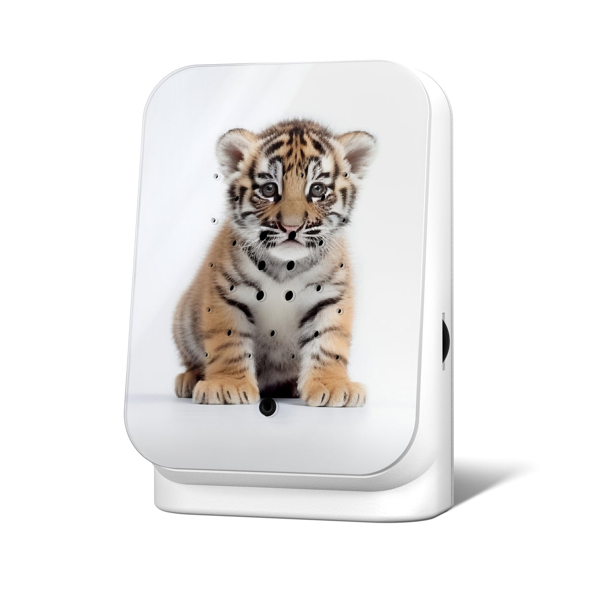 Junglebox limited edition baby tijger - detailfoto 1