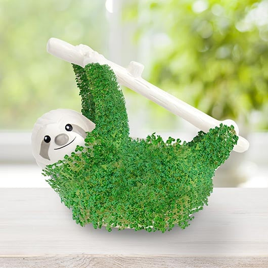Kweekset luiaard plantenbak - cadeau van Kado in Huis