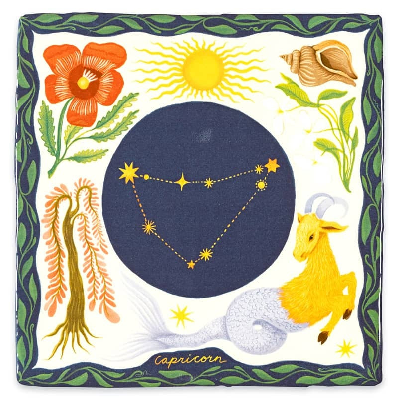 Astrologie Steenbok Small - detailfoto 1