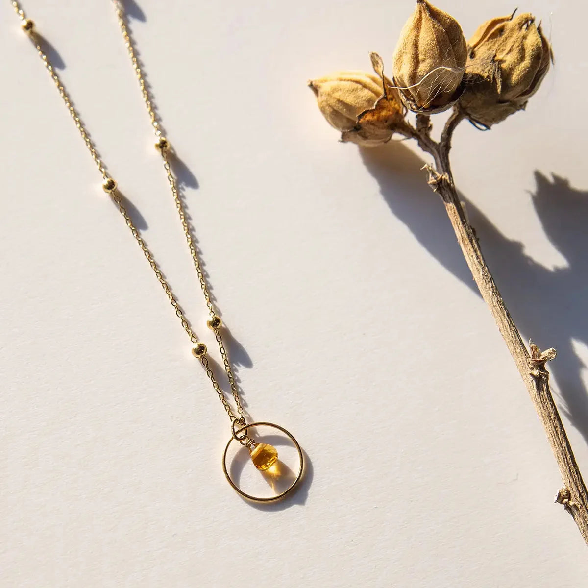 Sfeerfoto van de Vinoos ketting Amber Time To Shine met glazen kraal gefotografeerd naast een droogbloem
